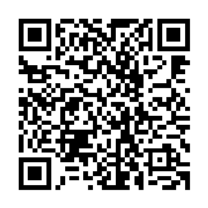 这一拳的威力已经提升到寻常天阶十一星后期接近十一星巅峰二维码生成