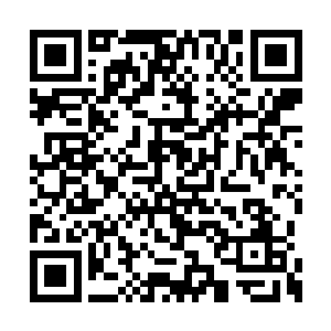 这一掌与之前蓝奥手中的法器所化巨手有些相似二维码生成