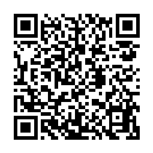 这一收之下竟然发现脚的情况跟那映在重瞳子脸上的手指一样二维码生成