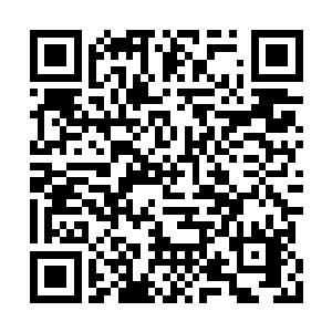 这一条造化道则依旧与造化神源有着扯断的联系二维码生成