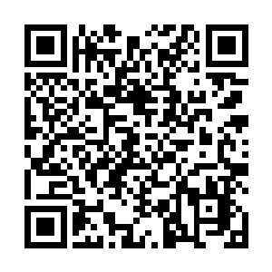 这一栋小楼就等于有了整个基地六七分之一的人员守卫二维码生成