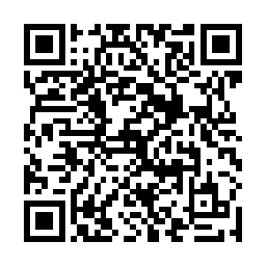 这一次一定要抓到恐怖份子给你们这些嚼舌的八婆看看二维码生成