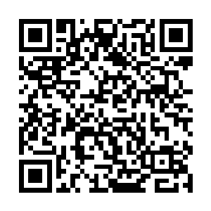 这一次万邪殿和妖域的几大种族来袭实在是太突然了二维码生成