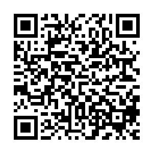 这一次三十六洞天福地出现的传奇宗师的数量远远超过了上一次二维码生成