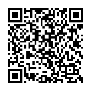 这一次不知道她可不可以去争夺一下前五的名次二维码生成