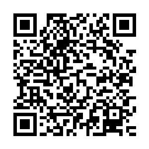 这一次他们前来平天神国参与帝联商会百年一次的拍卖盛会时二维码生成