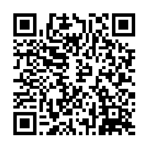 这一次他们终于从火光跟瞄准镜中看清是那个一直不起眼二维码生成