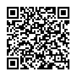 这一次任务不仅将她先前投入的数十万币全部赢回来了二维码生成