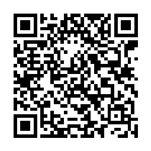 这一次众人却都是出手之时保留了七分力量守护警惕周身二维码生成