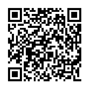 这一次似乎比之前寻找朱君玉的本灵要难了不少二维码生成