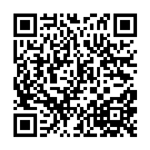 这一次你一旦将他封印千万不要把封印物交给任何人二维码生成