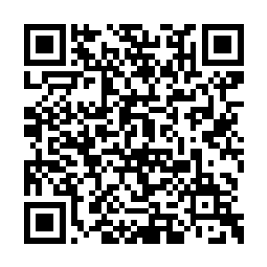 这一次你的魔界之行有没有多带回来一些材料啊二维码生成