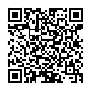 这一次倒不是完全没有动静了……似乎是被秦方雄厚的真气催动二维码生成