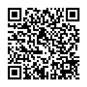 这一次出卖所有的生杀大拳都在自己老哥的手里面握着来着二维码生成