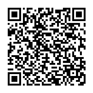 这一次前来的嘉宾与采访者们也多数都是把车辆停在这里以及附近的车道上二维码生成