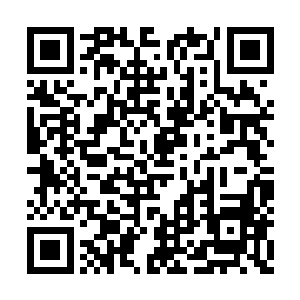 这一次劫雷孕育的时间比起前几次都要漫长的多二维码生成