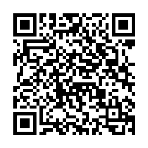 这一次又是直接从八级武王直接来到了十级武王巅峰二维码生成