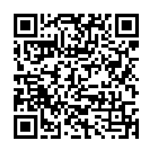 这一次又被大头给踢晕――他的运气确实不是太好二维码生成