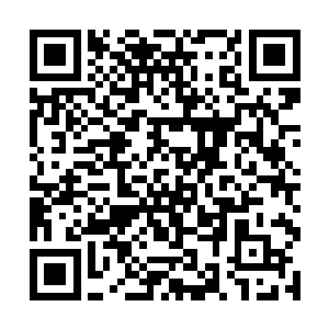 这一次可是有段日子没有回来看望我这个老头子了吧二维码生成