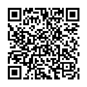 这一次和司南下的冲突的确是因为心里感到委屈二维码生成