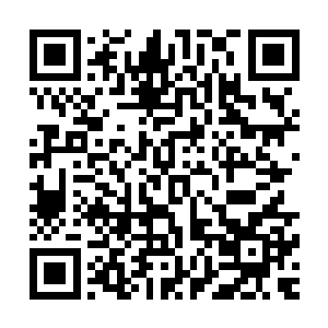 这一次咱们一起组队遇到那么危险的状况不也一起活着回来了二维码生成