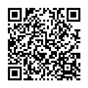 这一次唯一的特殊之处就是事件的主人公恰好来到了学城而已二维码生成