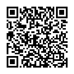 这一次因为整个噩梦森林核心的地形十分的复杂的缘故二维码生成