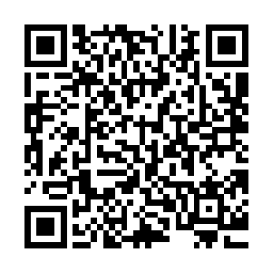 这一次在拍卖会上出现的两种可以用来炼制紫青双剑的极品材料二维码生成