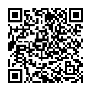 这一次多亏了那两个安玛利亚和格莱诺斯那两个傻瓜二维码生成