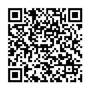 这一次她一定要看到姐姐在三月三祭祀上大放光彩二维码生成