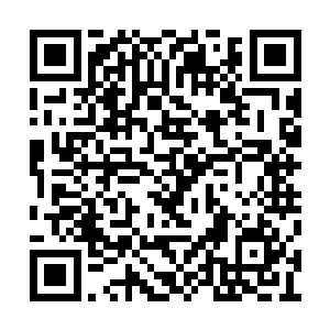 这一次如果我真的用强硬手段抢了他的机械圣衣二维码生成