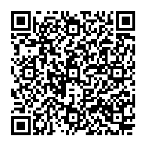 这一次孟奇看到了自己喊出所食物具体样子馋得口水直流最后更看到了自己在负责结账……二维码生成