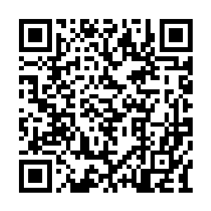 这一次对橘杏子的心理打击稍微的有那么一些大二维码生成