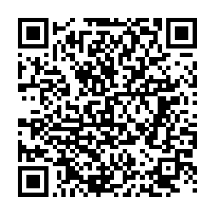 这一次小女孩清醒状态任由血色光芒没入其身体的时间较之上一次长一些二维码生成