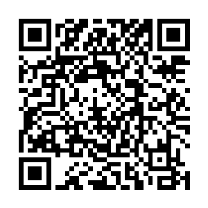 这一次小女孩竟然只是撇了一下嘴却是没有回应白树辰二维码生成