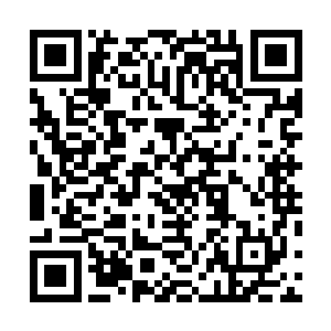 这一次就看到了约瑟夫和萨摩拉两个人快步走出来的身影二维码生成