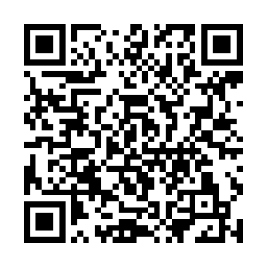 这一次就算是因为自己和陈昌俊的竞争处于关键阶段二维码生成