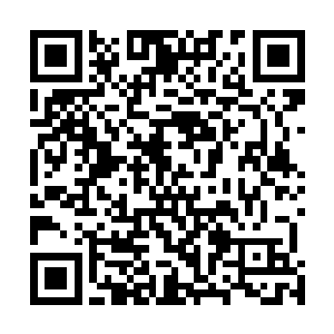 这一次您可是走眼了……桑梓和王俊驰那不是在那边呢吗二维码生成