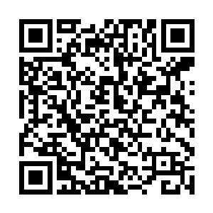 这一次我们凤阳城不仅聚集了方圆千里内的各方势力二维码生成