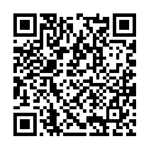 这一次我们只不过是占了敌人情报不利和大阵之威二维码生成