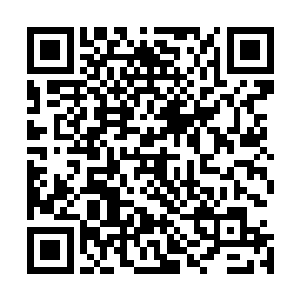 这一次我们同样获得了三家华国建筑及能源产业公司的合同二维码生成