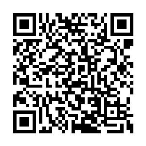 这一次拍卖会上能够引起龙傲天关注的东西不少二维码生成