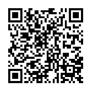 这一次是他第一次跟着自己老师出来实地考古挖掘二维码生成