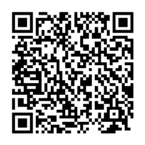 这一次晋级考核开始前洪大力就给这帮狗腿子每人都弄了一身极品宝石二维码生成