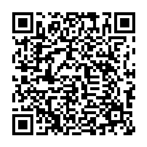这一次来七彩之境距离上一次给七彩之境造成的伤害已经过去了四天二维码生成
