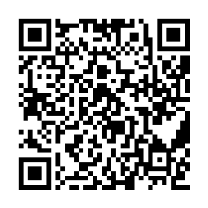 这一次杨戬一下子炼制了六颗自然也十分的满意二维码生成