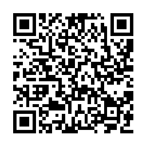 这一次杨戬收获显然是大大出乎了他的意料之外二维码生成
