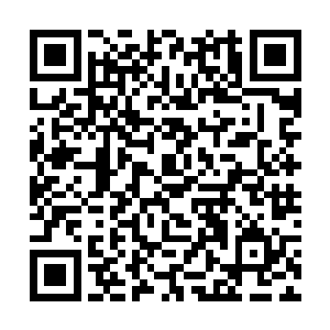 这一次林封谨率人前往霍林的途中可以说是异常顺利二维码生成