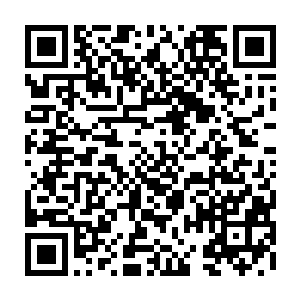 这一次次的血祭和一次次将魔族男爵凝聚的地之脉轮摧毁炼化而又治愈的折磨二维码生成