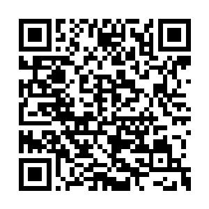 这一次海神殿殿主亚蒂蓝魔带來的这些圣皇强者二维码生成